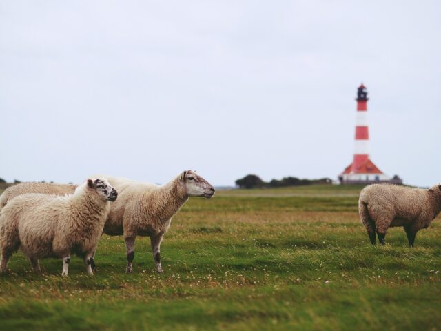De kracht van landschap, cultuur en spreiding