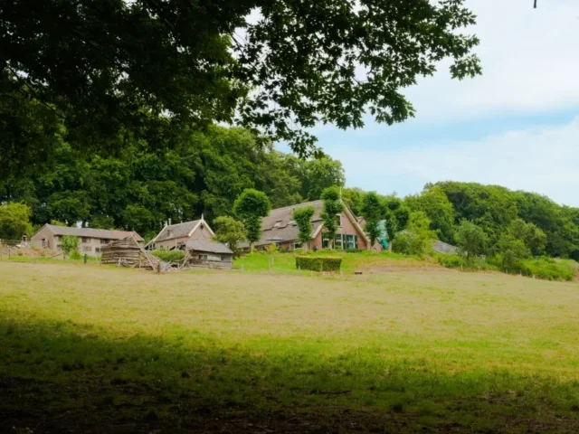 Gelderland kruipt onder je huid