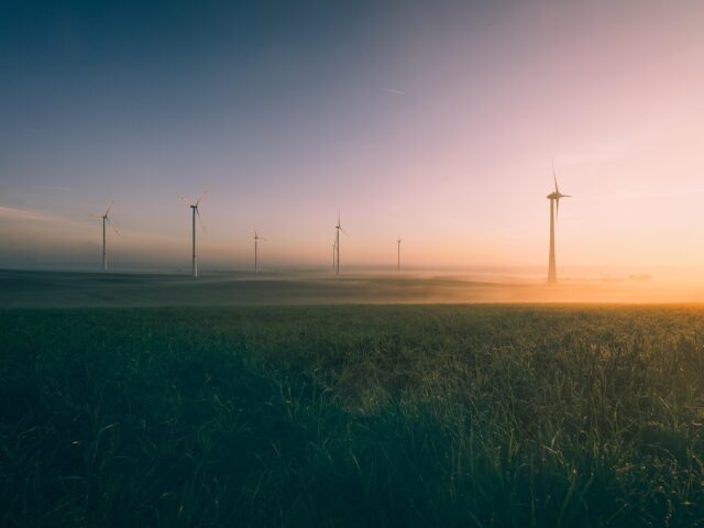 Windenergie op land loopt vast door netcongestie en regels