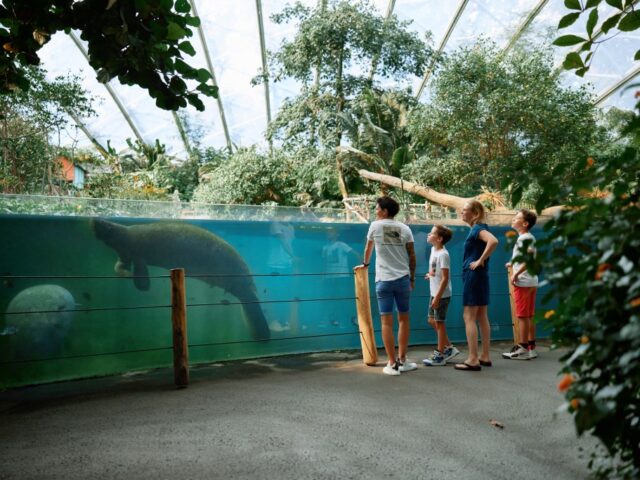 Michelin beloont Burgers&rsquo; Zoo opnieuw met twee sterren