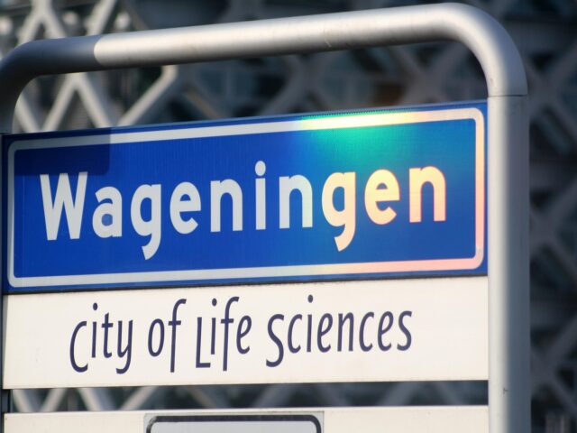 Wageningen sluit 2025 af met positief financieel resultaat van &euro;11,7 miljoen