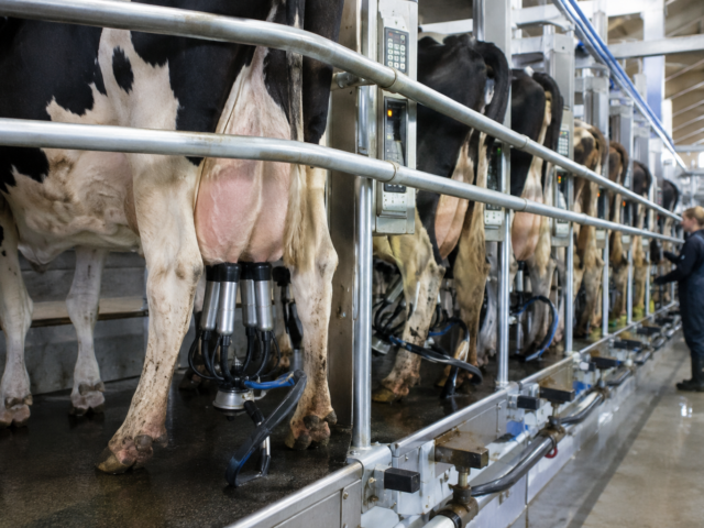 Slimme data moet melkveehouder helpen verduurzamen &eacute;n beter verdienen