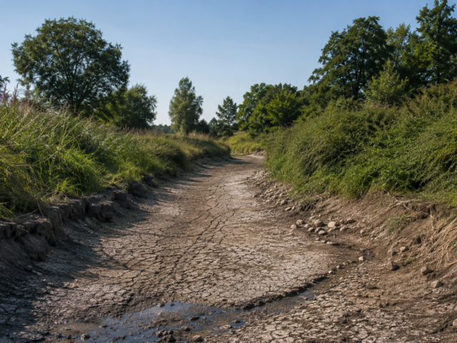 Droogte zet Gelderse waterschappen op scherp: water wordt steeds schaarser