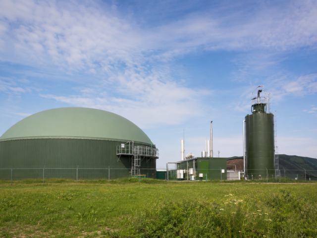Groen gas uit mest moet stikstof- &eacute;n energieproblemen helpen oplossen