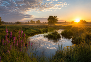 Natuur Gelderland, landschap en meertje, ondergaande zon