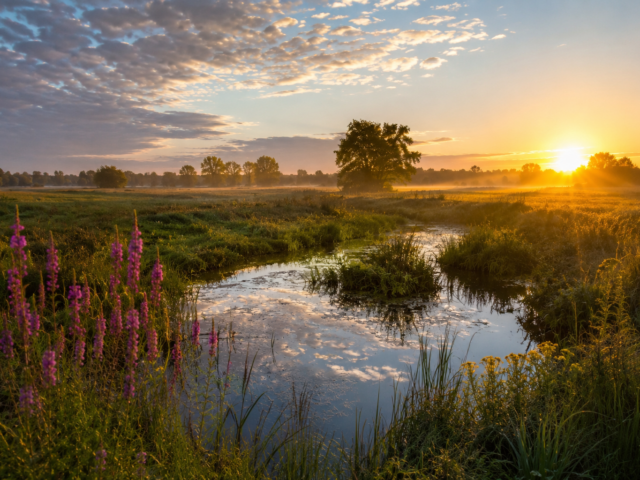 Gelderland investeert miljoenen in natuur: wat levert het daadwerkelijk op?