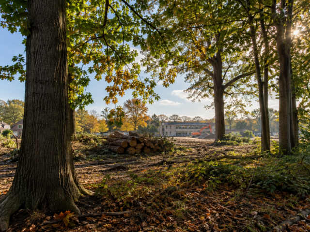 Masterplan Doorwerth: hoeveel bomen verdwijnen voor het nieuwe dorpshart?