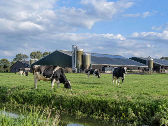 Rechter geeft groen licht voor openbaarmaking historische landbouwgegevens