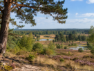 Kritisch advies over Gelderse Natura 2000-gebieden
