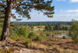 Kritisch advies over Gelderse Natura 2000-gebieden