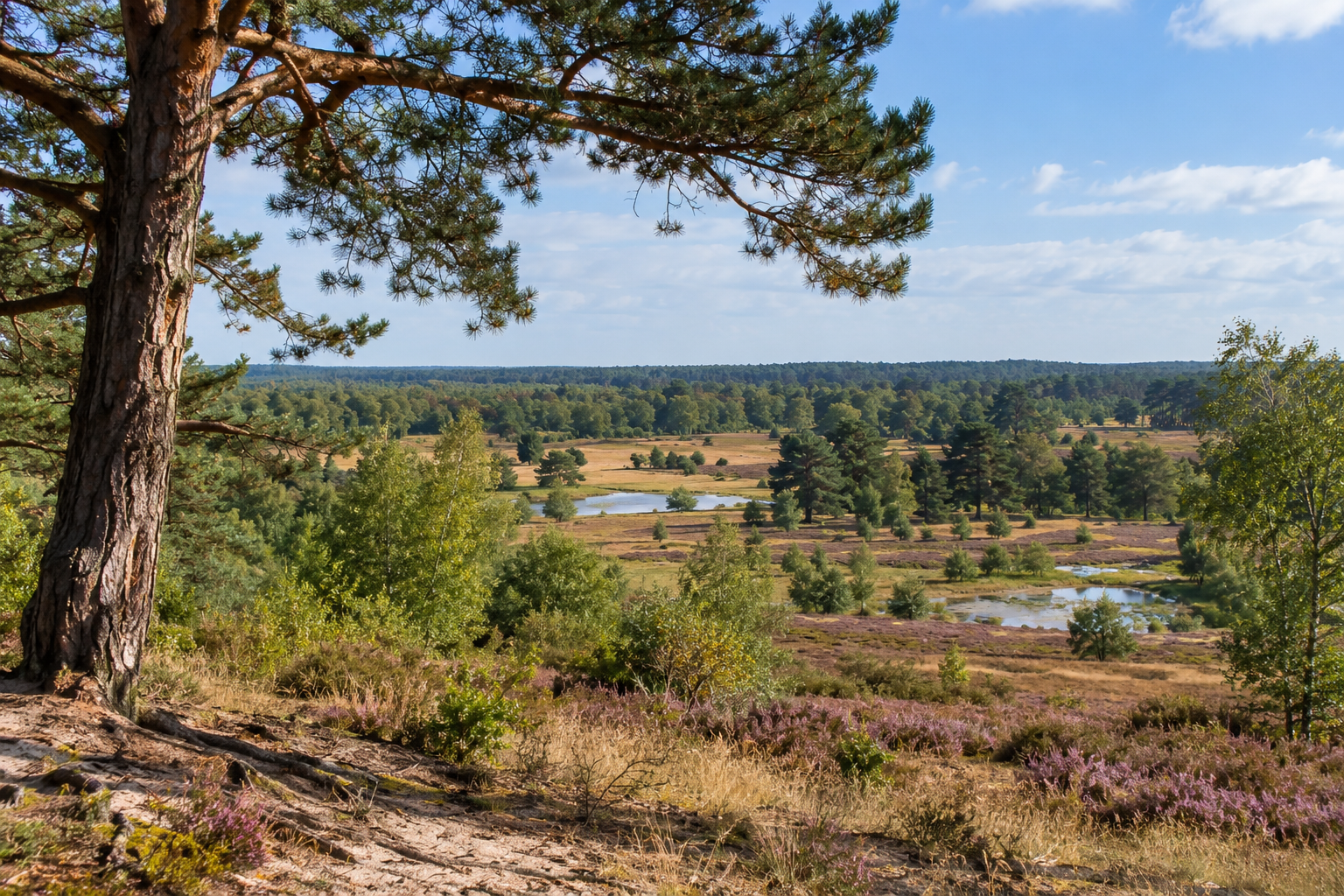 Kritisch advies over Gelderse Natura 2000-gebieden