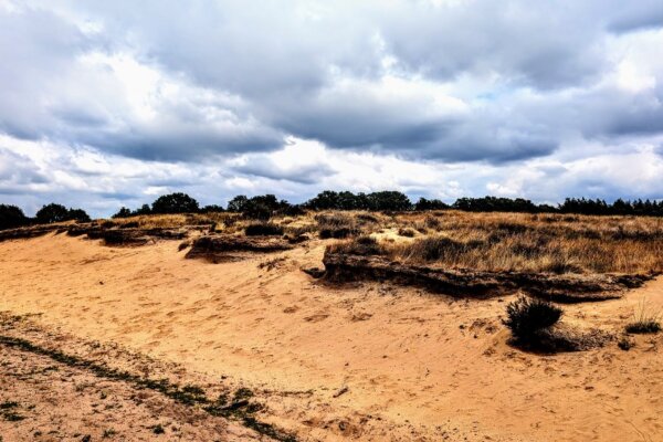 De Ginkelse Heide